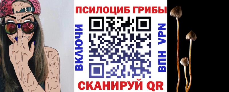 Галлюциногенные грибы мицелий  Тейково 